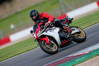 PJ-Motorsport-2019;donington-no-limits-trackday;donington-park-photographs;donington-trackday-photographs;no-limits-trackdays;peter-wileman-photography;trackday-digital-images;trackday-photos